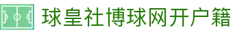 球皇社球队资料库：阵容名单、历史战绩与球员对阵数据查询